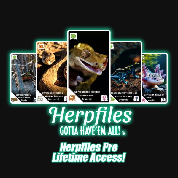 Herpfiles Pro Lifetime