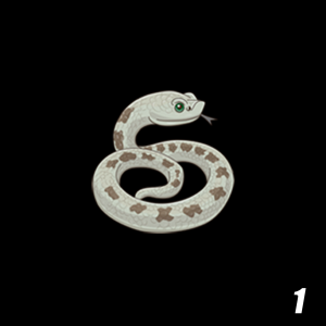 Western Hognose (Demo Item)