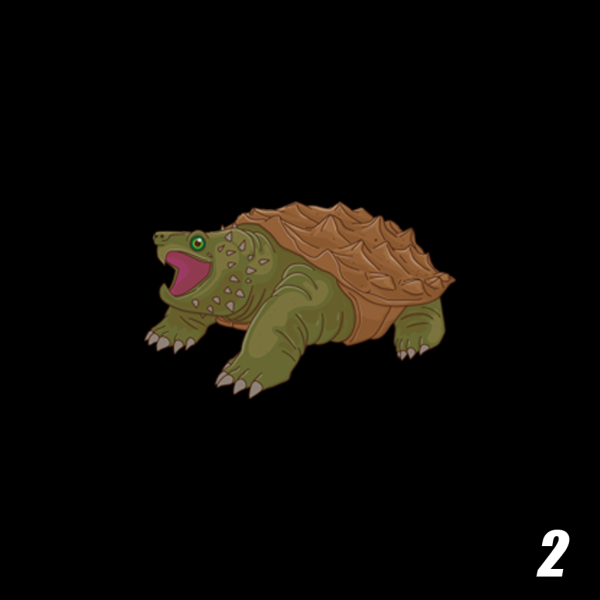 Snapping Turtle (Demo Item) - Image 2